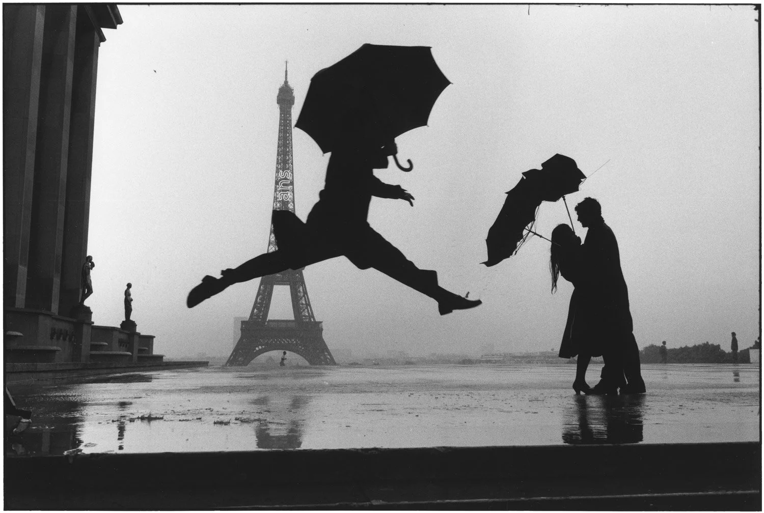 Elliott Erwitt: Gold Standard — Weinstein Hammons Gallery